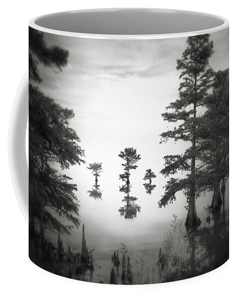 Lr_thefader Coffee Mug featuring the photograph Three little brothers by Eduard Moldoveanu