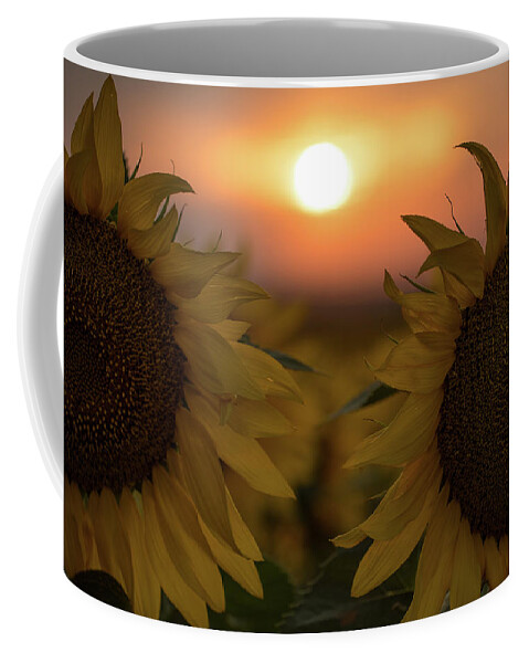 Flower Coffee Mug featuring the photograph Three Suns by Gary Kochel