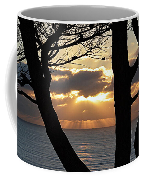 Scenic Coffee Mug featuring the photograph Through the Trees by AJ Schibig