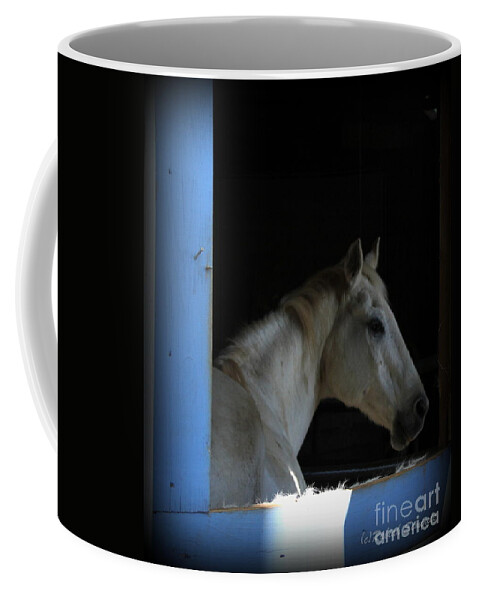 Horses Coffee Mug featuring the photograph Through the Window by Rabiah Seminole