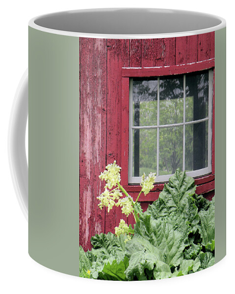 Window Coffee Mug featuring the photograph Through the Window by Rosalie Scanlon