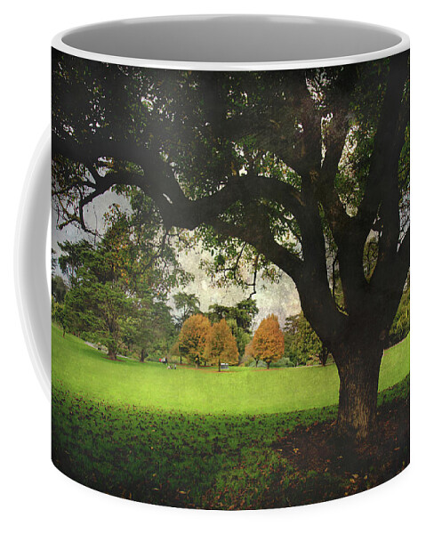 Trees Coffee Mug featuring the photograph Throw Your Arms Around the World by Laurie Search