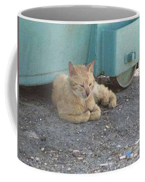 Cat Coffee Mug featuring the photograph Tiberius Israel Cat #3 by Donna L Munro