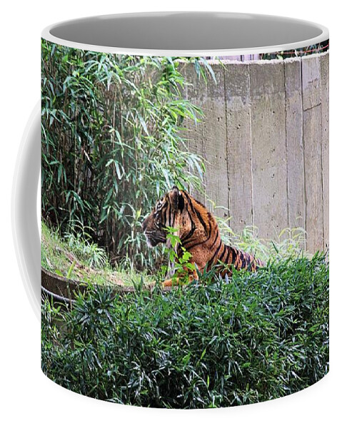 Tigers Coffee Mug featuring the photograph Tiger 3 by Karl Rose