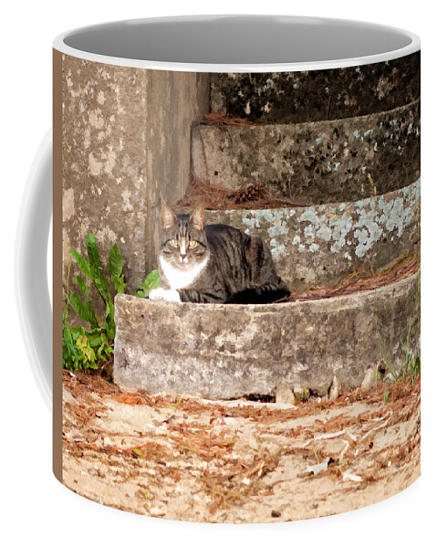 Animal Coffee Mug featuring the photograph Tiger Kitty on Stairs in watercolor by Donna Doherty