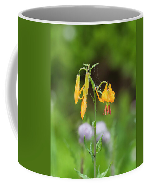 Flowers Coffee Mug featuring the digital art Tiger Lily in Olympic National Park by Michael Lee