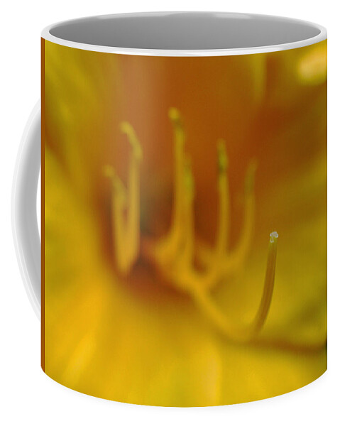 Lily Coffee Mug featuring the photograph Tiger Lily by Juergen Roth