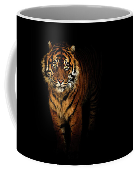 Contemporary Coffee Mug featuring the photograph Tiger on a black background by Tim Abeln