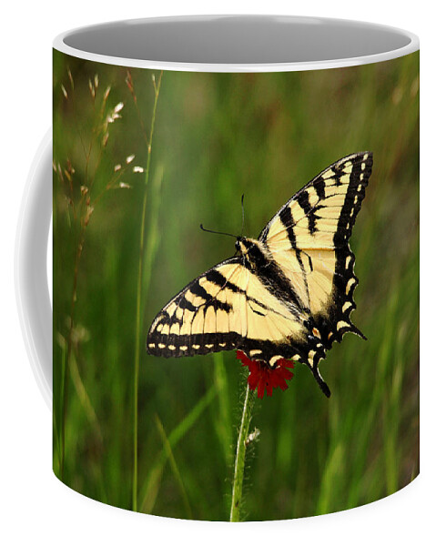 Canadian Tiger Swallowtail Coffee Mug featuring the photograph Tiger Stripes by Debbie Oppermann