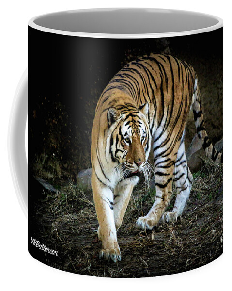 Tiger Coffee Mug featuring the photograph Tiger Stripes Memphis Zoo by Veronica Batterson