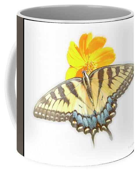Tiger Swallowtail Butterfly Coffee Mug featuring the digital art Tiger Swallowtail Butterfly, Cosmos Flower by A Macarthur Gurmankin