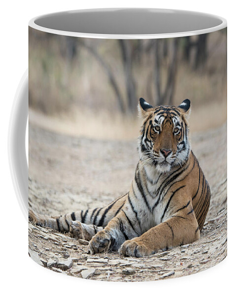 Animal Coffee Mug featuring the photograph Tigress Arrowhead by Pravine Chester