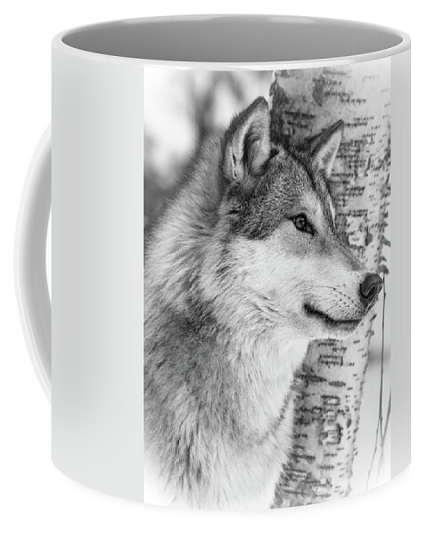 Wolf Coffee Mug featuring the photograph Timber Wolf by Athena Mckinzie