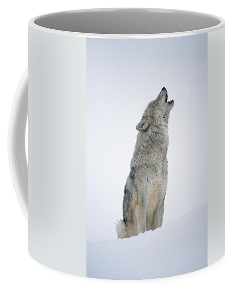 #faatoppicks Coffee Mug featuring the photograph Timber Wolf Portrait Howling In Snow by Tim Fitzharris
