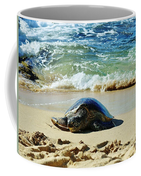 Sea Turtle Coffee Mug featuring the photograph Time for a Rest by Craig Wood