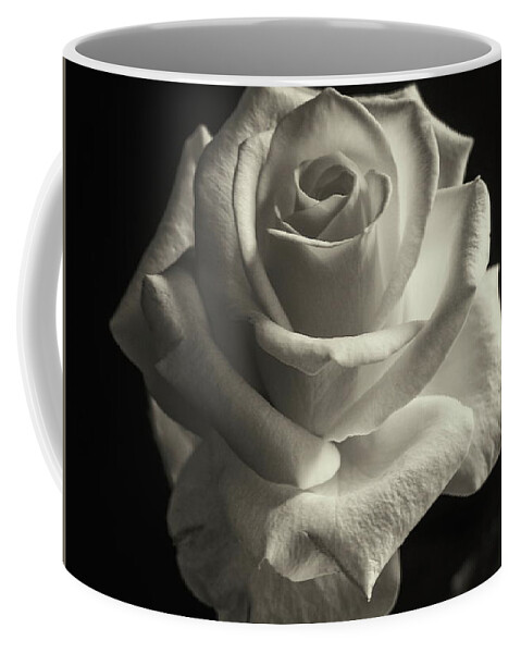 Rose Coffee Mug featuring the photograph Tinted Rose by Jeff Townsend