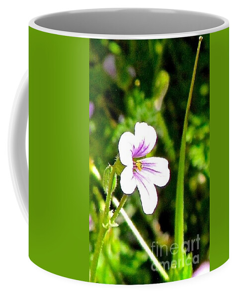 Tiny Little Flower On That Big Foothill Ranch Coffee Mug featuring the photograph Tiny little Wildflower by Phyllis Kaltenbach