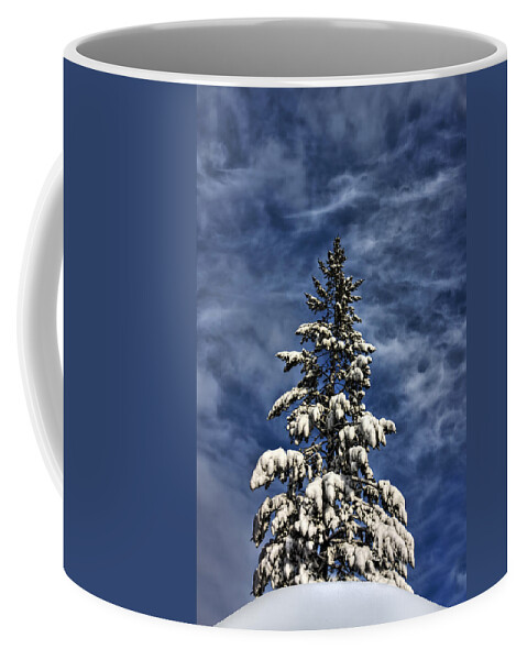 Spruce Coffee Mug featuring the photograph To Blue Horizons by Evelina Kremsdorf