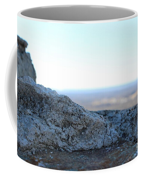 Stone Coffee Mug featuring the photograph To the Horizon by Christopher Lotito