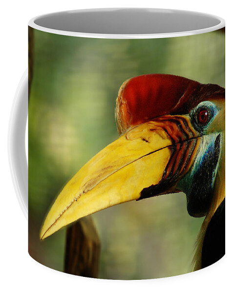 Bird Coffee Mug featuring the photograph Tocan by Harry Spitz