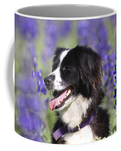 Dog Coffee Mug featuring the photograph Todler With Wildflowers by Alon Meir