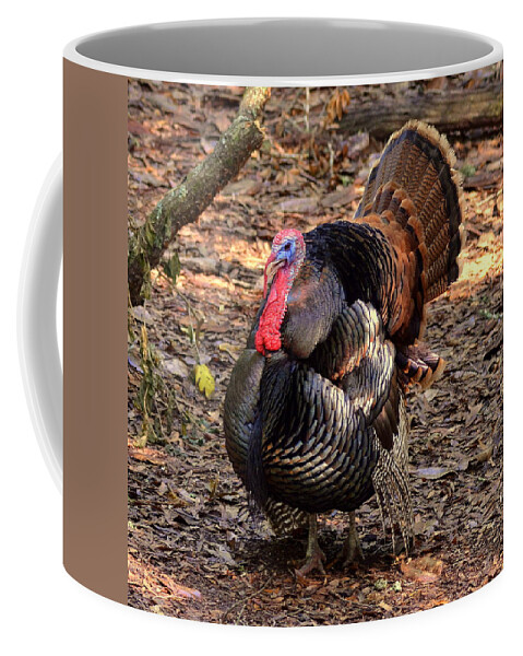 Turkey Coffee Mug featuring the photograph Tom the Turkey by Carla Parris