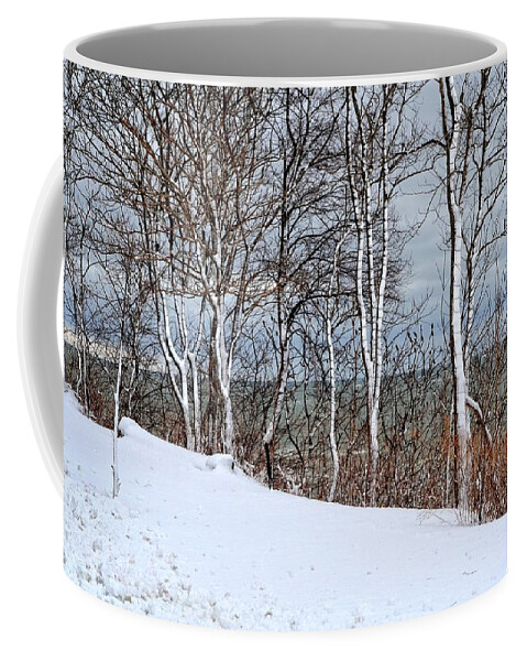 Season Coffee Mug featuring the photograph Top of the Bluff by Michelle Calkins