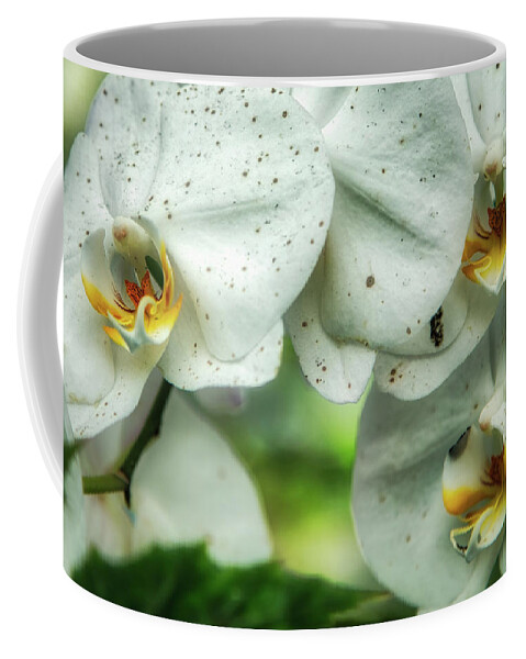 Hdr Coffee Mug featuring the photograph Toronto Orchids by Ross Henton