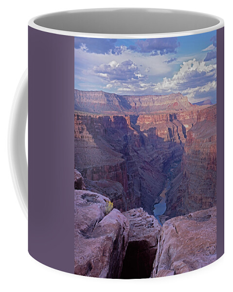 Arizona Coffee Mug featuring the photograph Toroweap Up Stream 2V by Tom Daniel