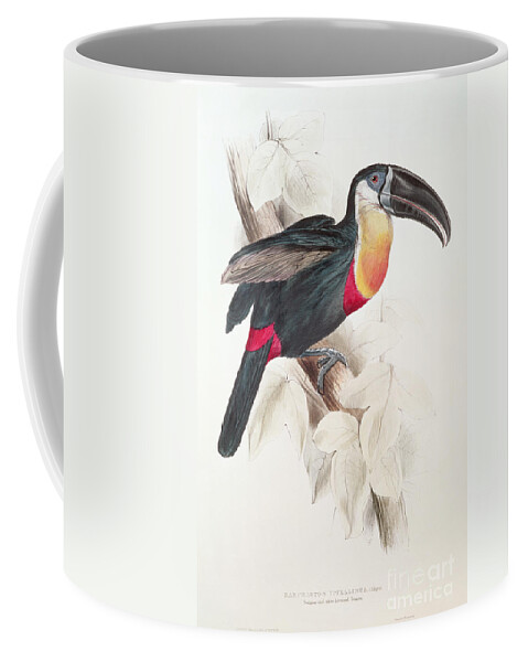 Sulphur Coffee Mug featuring the painting Toucan by Edward Lear by Edward Lear