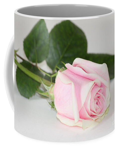Rose Coffee Mug featuring the photograph Touch of Love by Anita Oakley
