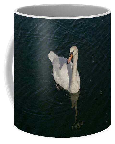 Swan Coffee Mug featuring the photograph Tour de Swan. Deux. by Elena Perelman