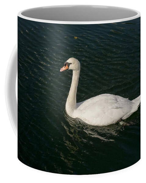 Swan Coffee Mug featuring the photograph Tour de Swan. Trois. by Elena Perelman