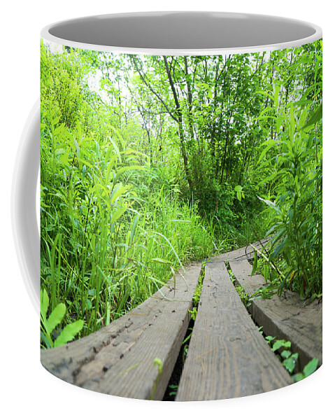 Earth Coffee Mug featuring the photograph Trail by Christopher Brown