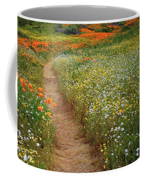 Wildflower Coffee Mug featuring the photograph Trail of wildflowers at Diamond Lake in California by Jetson Nguyen