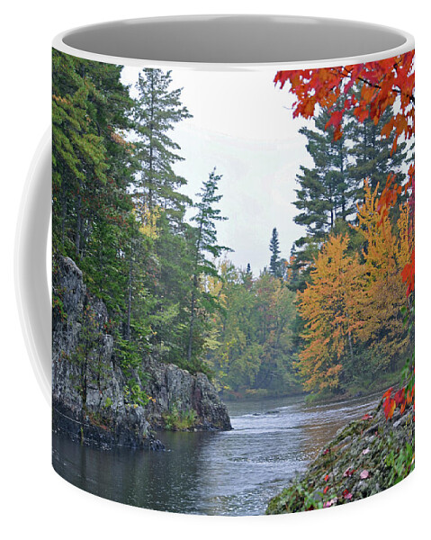 Fall Coffee Mug featuring the photograph Autumn Tranquility by Glenn Gordon
