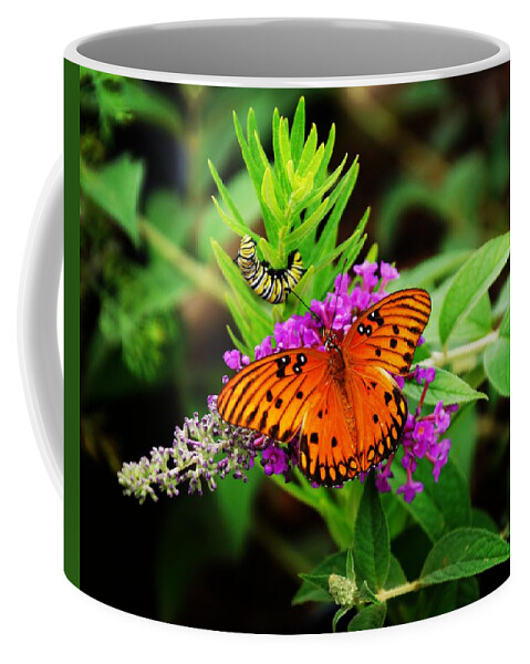 Coffee Mug featuring the photograph Transformation by Rodney Lee Williams