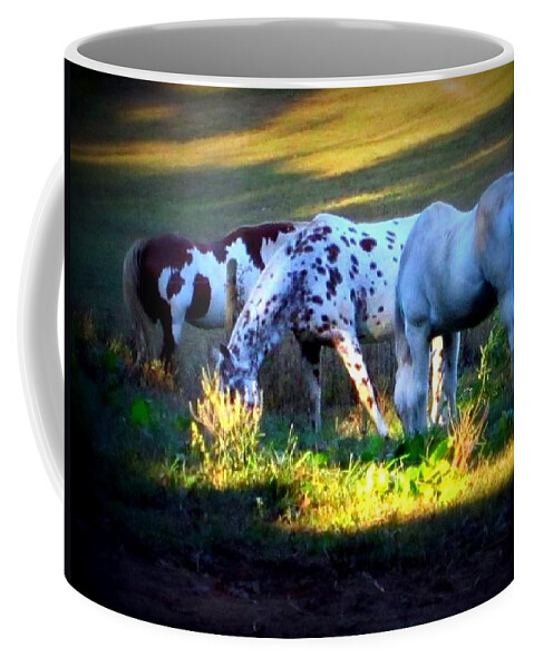 Horses Coffee Mug featuring the photograph Transition by Rabiah Seminole