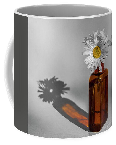 Flora Coffee Mug featuring the photograph Translucence by Cathy Kovarik