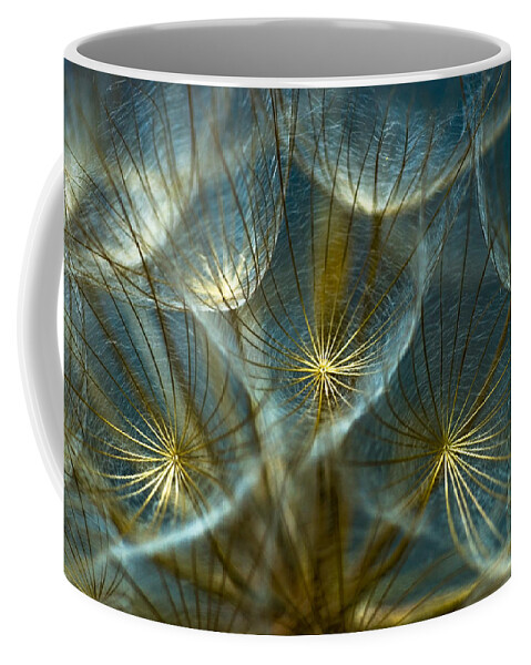 Dandelion Coffee Mug featuring the photograph Translucid Dandelions by Iris Greenwell