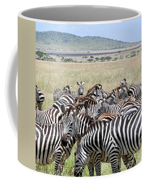 Tanzania Coffee Mug featuring the photograph zebra in Serengeti by Masako Takagi