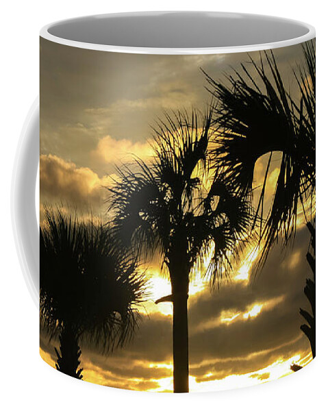 Florida Coffee Mug featuring the photograph Treasure Island Sunset by Robert Wilder Jr