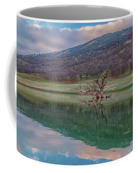 Landscape Coffee Mug featuring the photograph Tree and East Bay Hills at Sunrise by Marc Crumpler