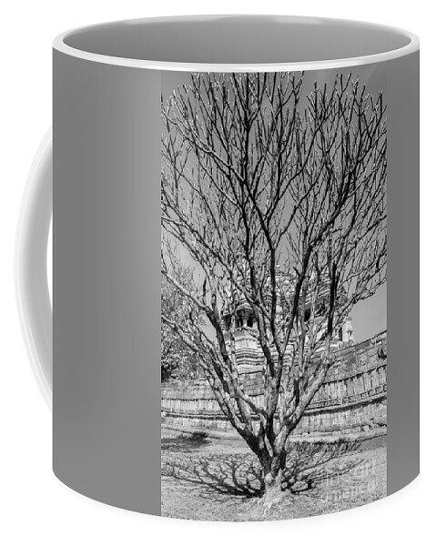 Tree Coffee Mug featuring the photograph Tree and Temple by Hitendra SINKAR