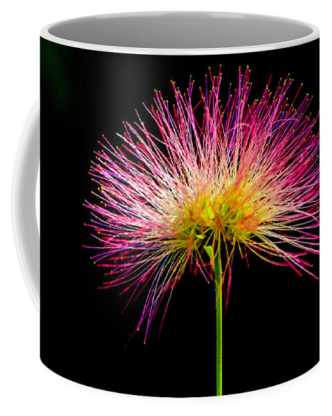 Tree-blossom Coffee Mug featuring the photograph Tree blossom by Wolfgang Stocker
