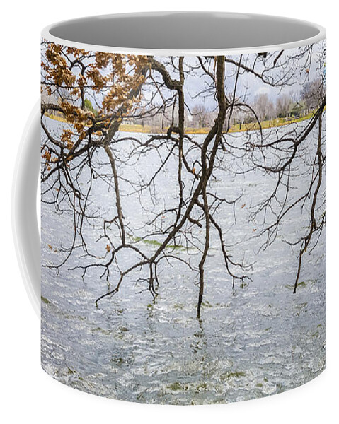 Lake Coffee Mug featuring the photograph Tree Branches Over Lake by Lynn Hansen
