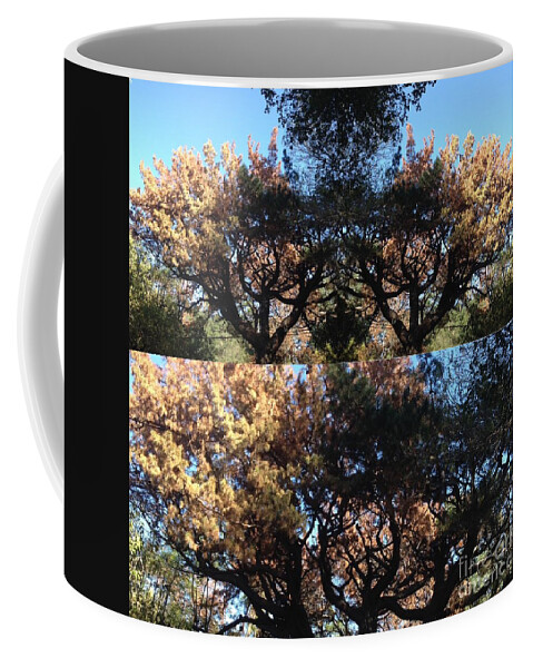 Tree Coffee Mug featuring the photograph Tree Chandelier by Nora Boghossian