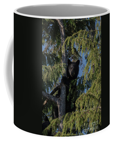 Tree Coffee Mug featuring the photograph Tree Climbers by Rod Wiens