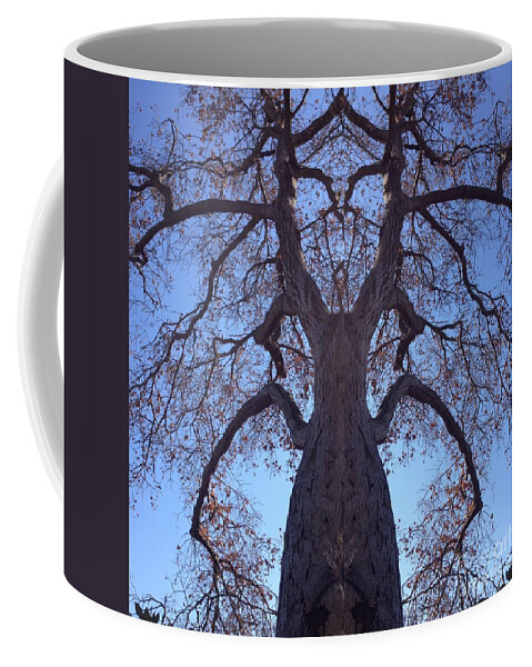 Creature Coffee Mug featuring the photograph Tree Creature by Nora Boghossian