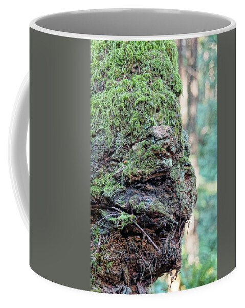 Tree Coffee Mug featuring the photograph Tree Feelings 1754 by Tim Dussault